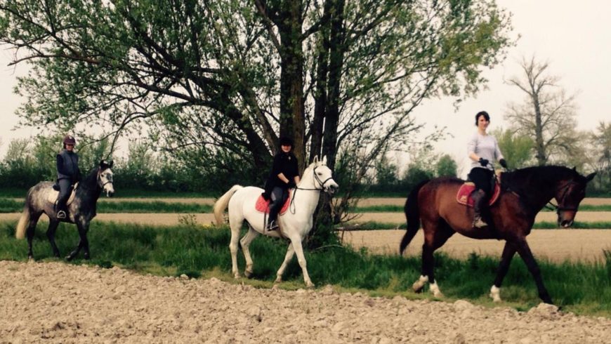 Passeggiata in campagna