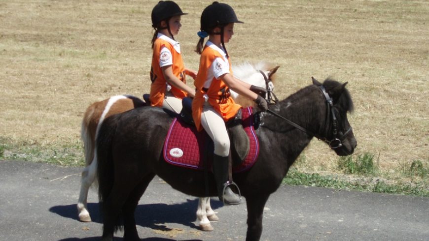 SOCIALE DI CAROSELLO