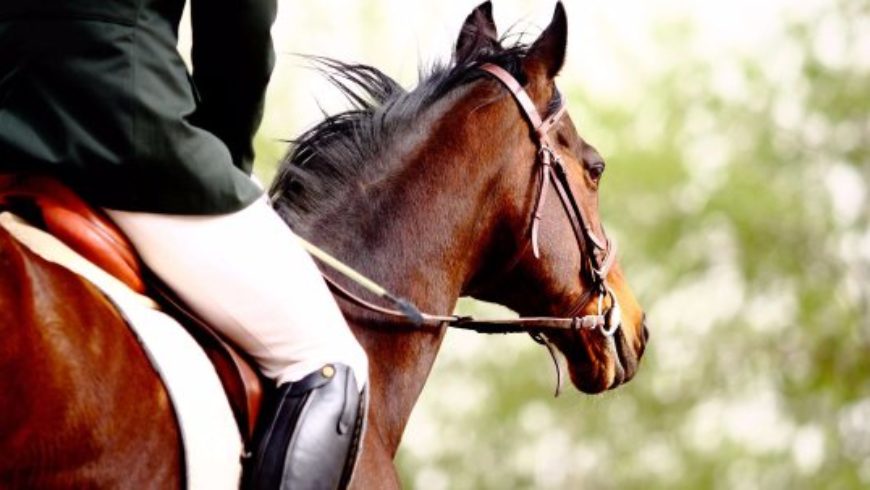 TROFEO SOCIALE DELLA PROVINCIA DI ROVIGO