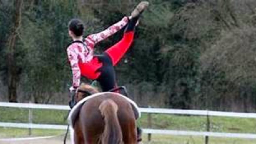 LEZIONI GRATUITE DI VOLTEGGIO