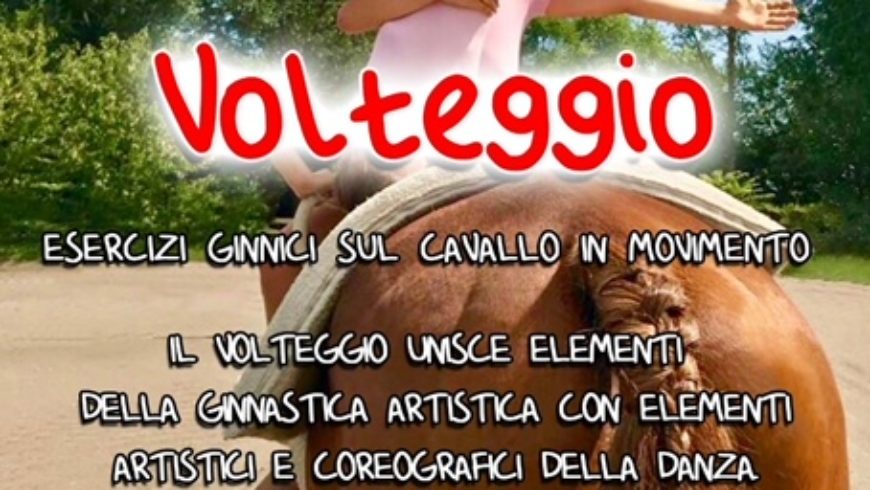 Volteggio