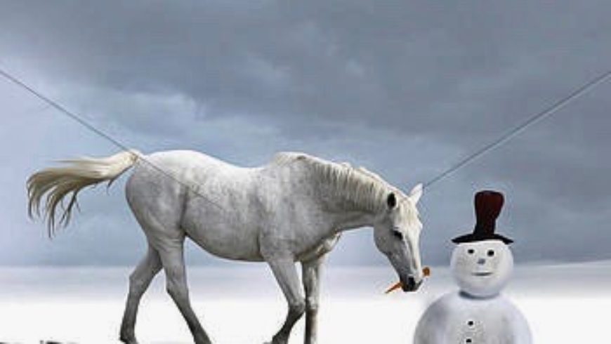 AGRIGREST …  ANCHE D’INVERNO