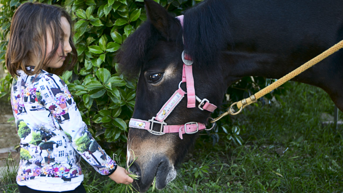 Pony per bambini
